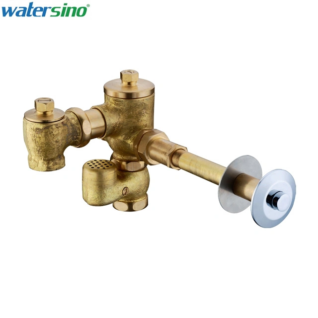 Bathroom Brass Chrome Push Button Wall Concealed Time Delay Toilet Flush Valve