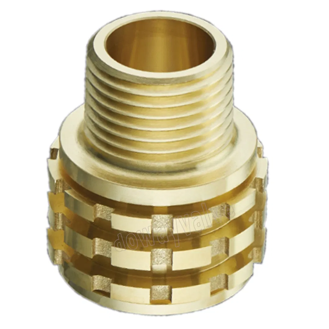 Brass Male Union Insert for PPR Fitting