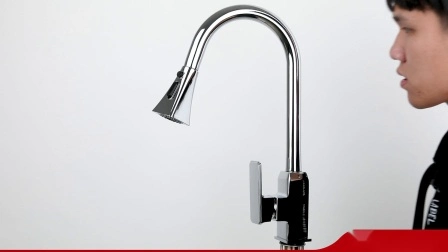 New Design Kitchen Faucet Bibcock with Pull Down Sprayer Odn