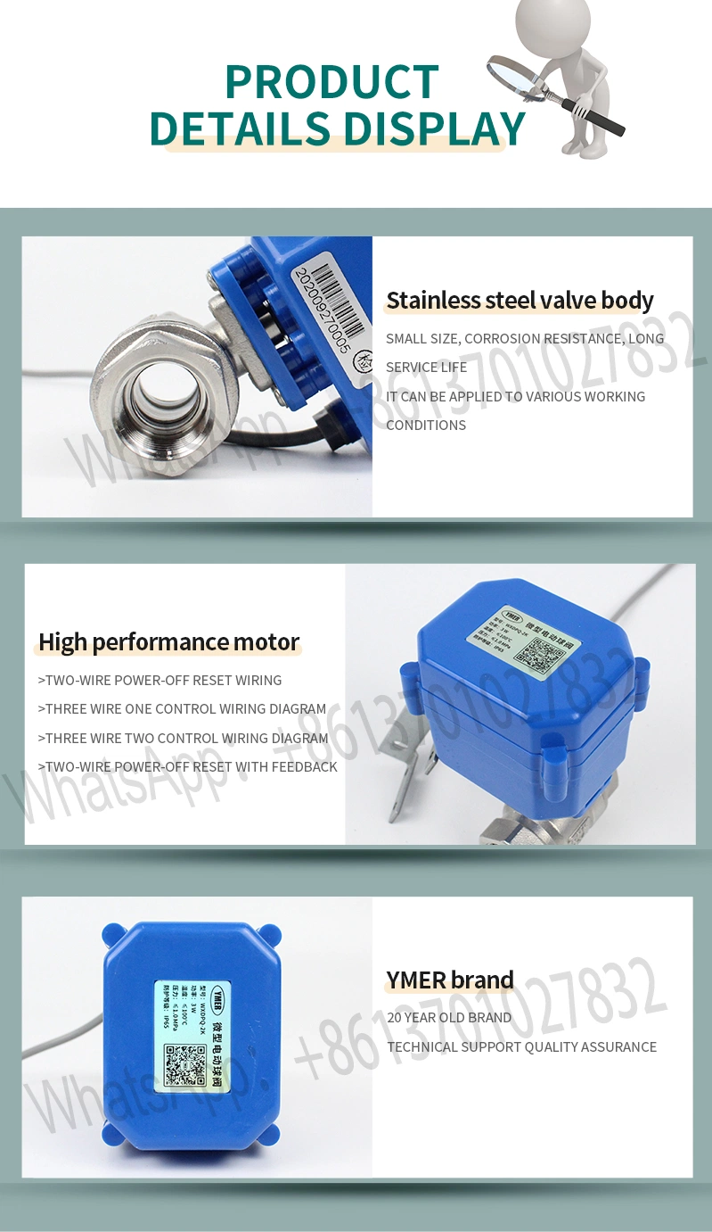 AC220V Mini Motorized Electrical Ball Valve