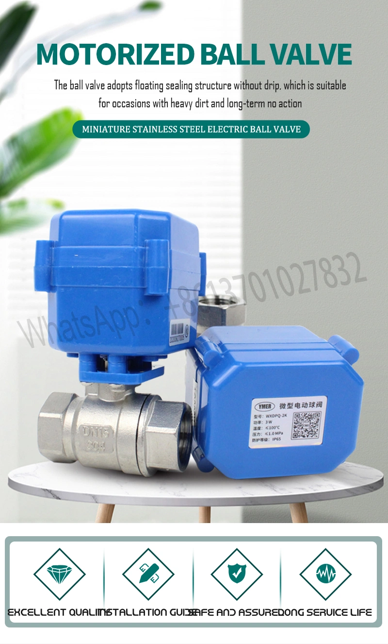 AC220V Mini Motorized Electrical Ball Valve