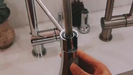 Chinese Solid Brass Pull out Spray Spring Kitchen Faucets